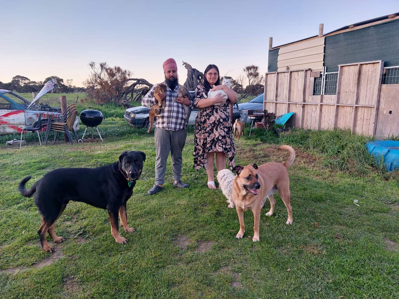 Navninder Kaur and Vikramjit Singh with their rescued animals.