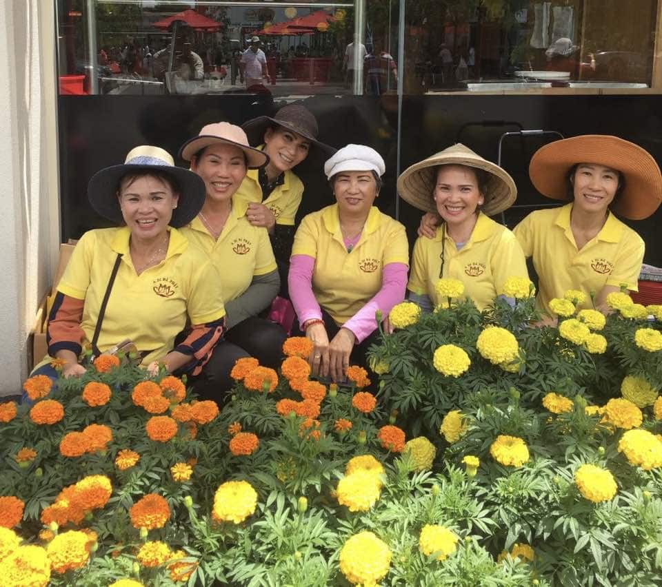 Hoa van tho cho Springvale.jpg