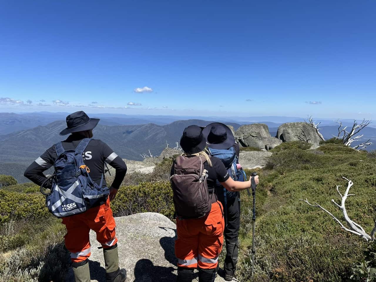 A group of people in bright orange clothing stand looking out at dense bushland