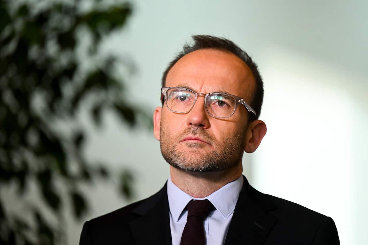 Man in suit and glasses standing outside.