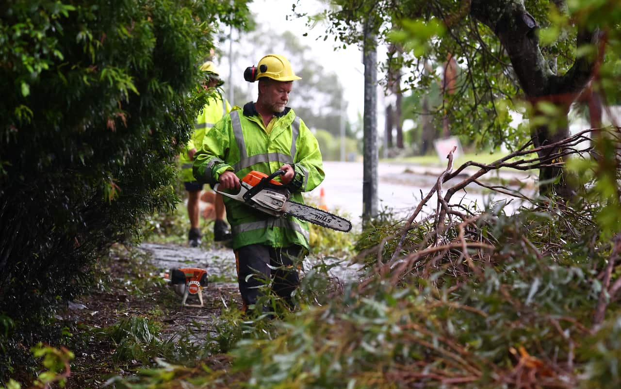 A man in hi vis with a chainsaw walks past a fallen tree.