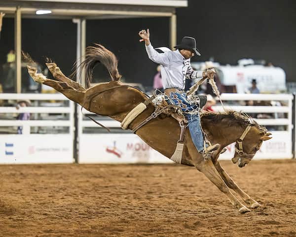 Gugari Mount Isa's Indigenous Rodeo pays tribute to Blak stockmen and women ...