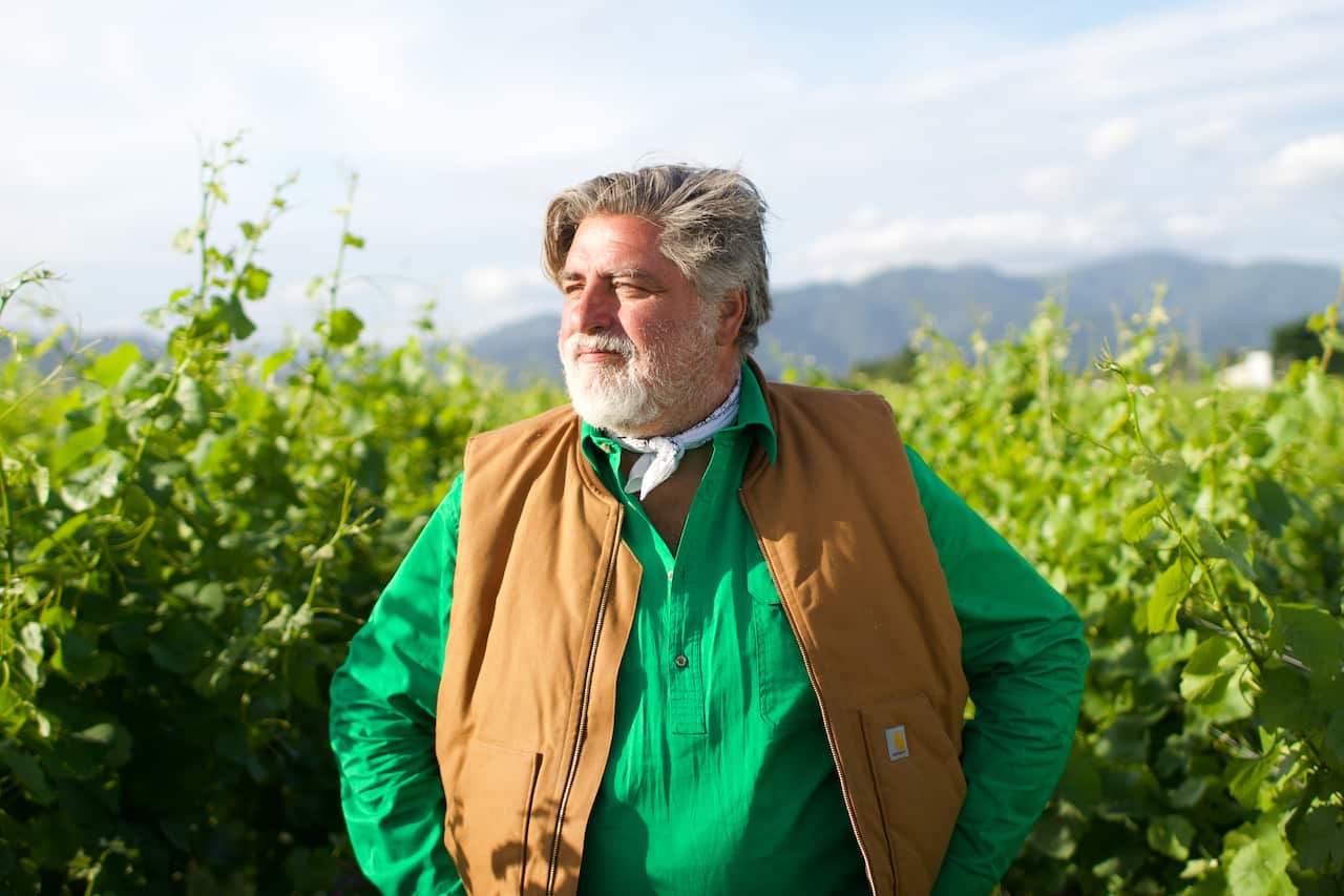 Matt Preston in 'Matt Preston's Plating Locally'