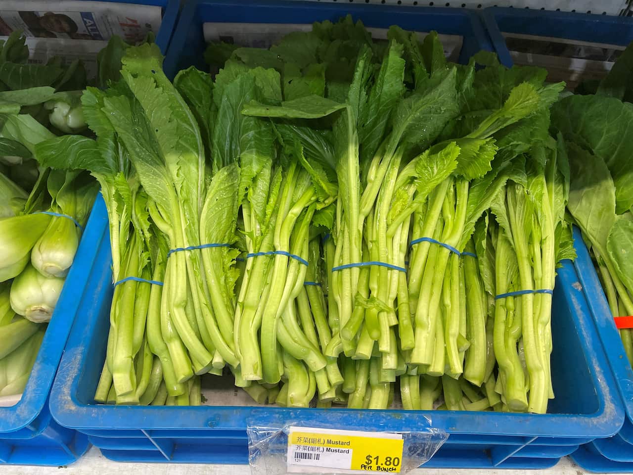 Tomaru122 Chinese mustard.jpg