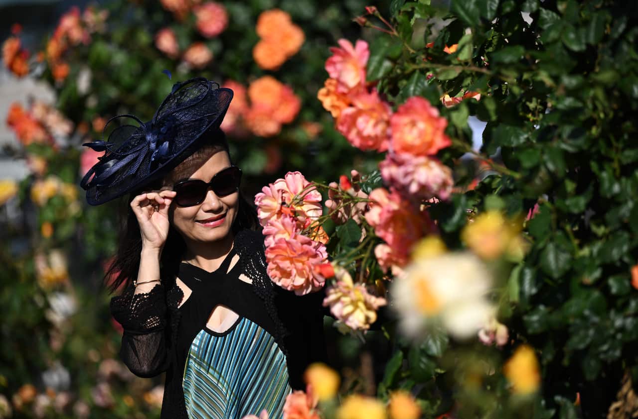 RACING MELBOURNE CUP