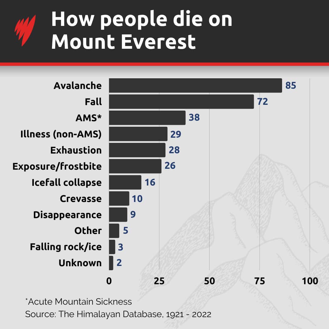 A graph showing the causes of death on Mount Everest.