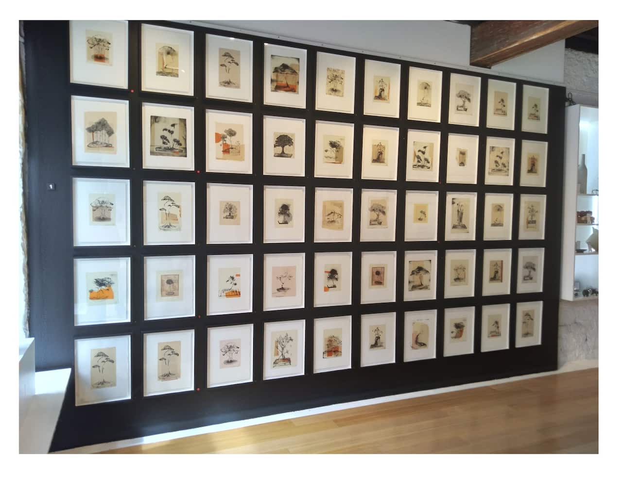 Bonsai exhibition.jpg