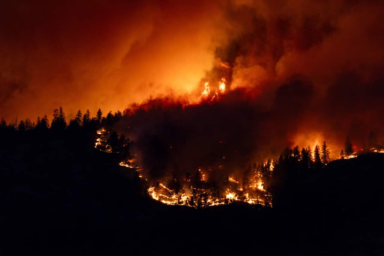 A wildfire burns through a forest at night