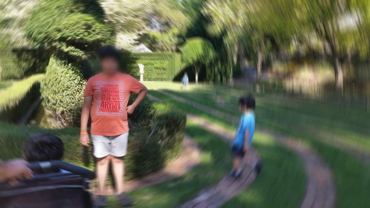Two boys in a suburban yard. Their faces are blurred