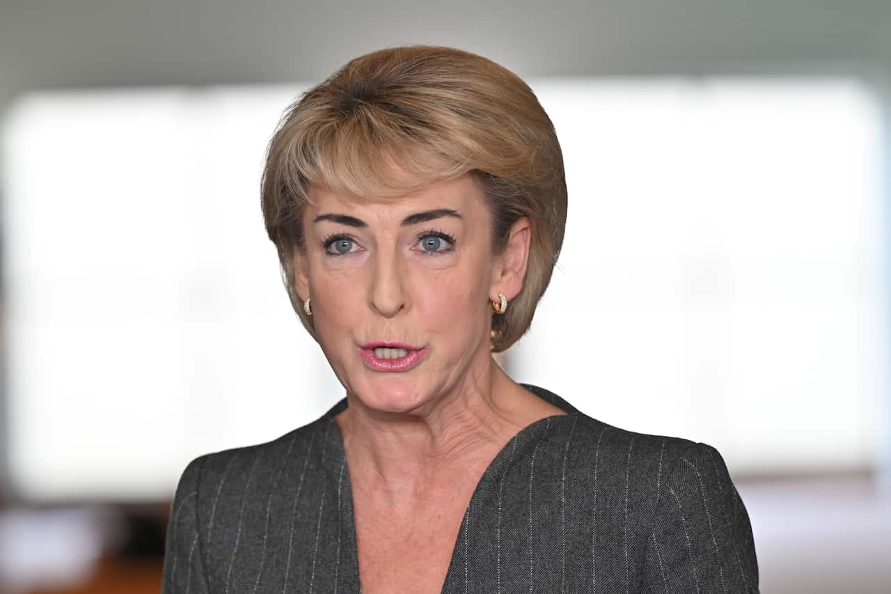 A woman wearing a grey pinstripe top, speaking.