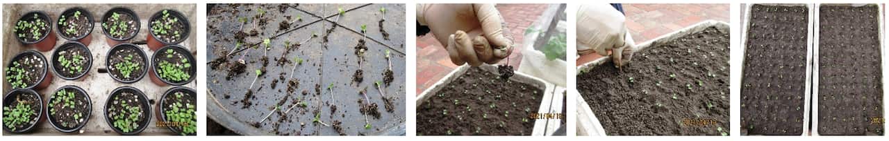 Screenshot 2026-02-27 121654.png