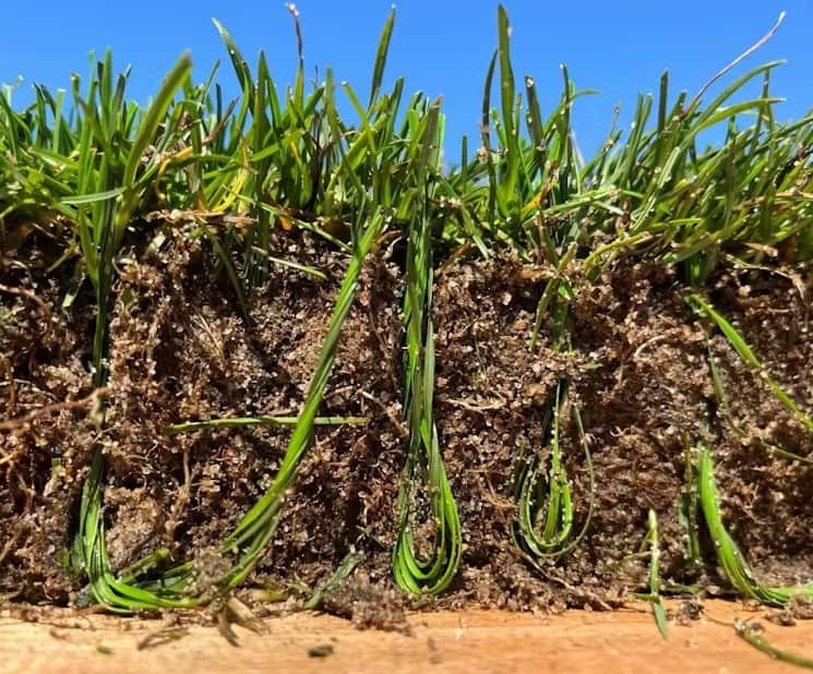 Sod with green plastic fibre stitching