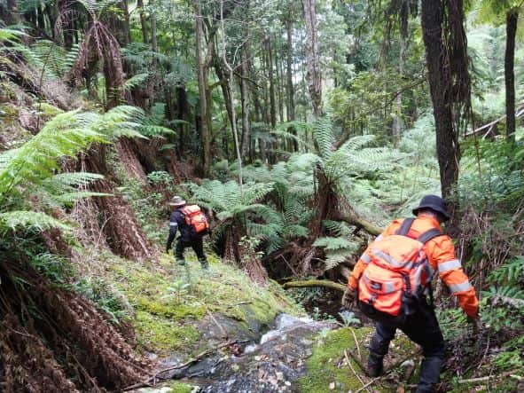 SES Bush Search and Rescue off track_Harry Smith.jpg