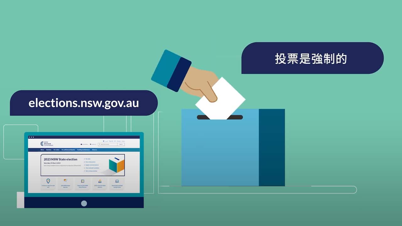 【新州選舉】新州選委會製作動畫　用你的語言助選民投票