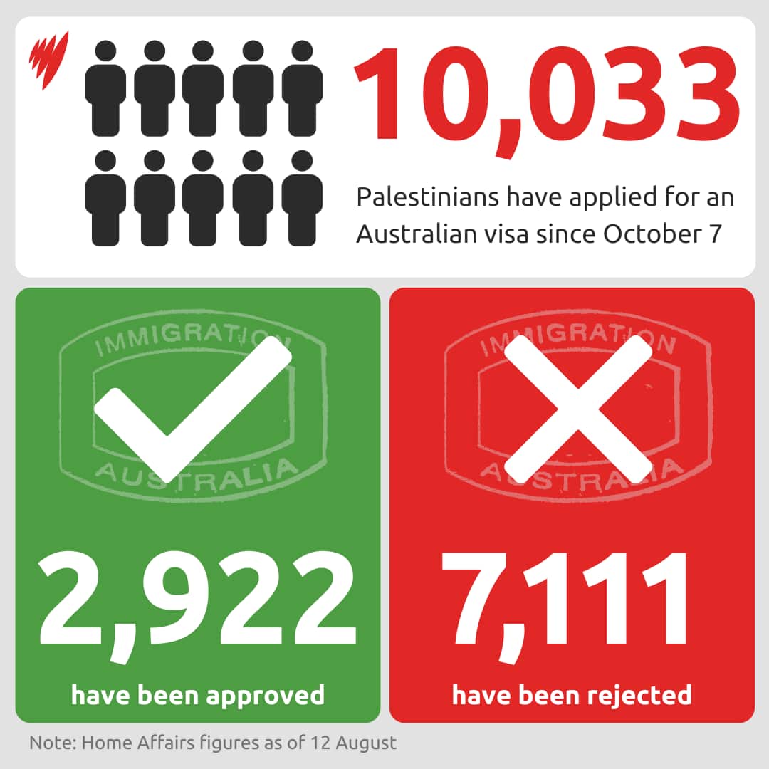 A graphic showing how many Palestinians have been granted visas to enter Australia 