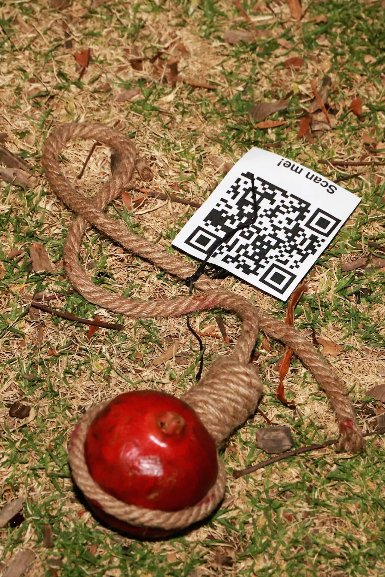 Pomegranate which is a symbol of Yalda is with a noose around, reminding of those who were executed in Iran