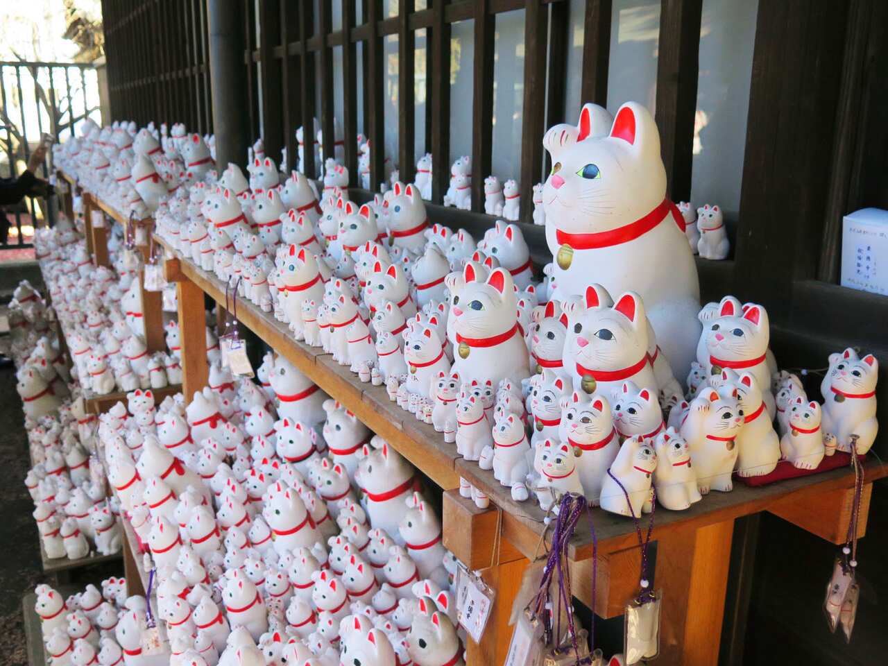 A display of beckoning cats at temple in Tokyo.