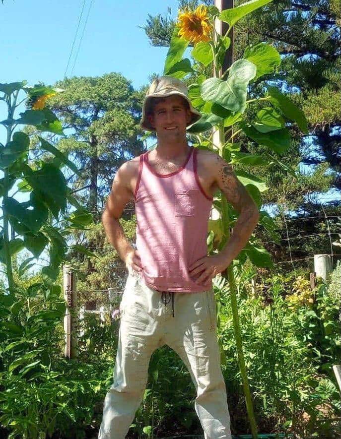 Man wearing a hat standing in front of tall sunflower plants.