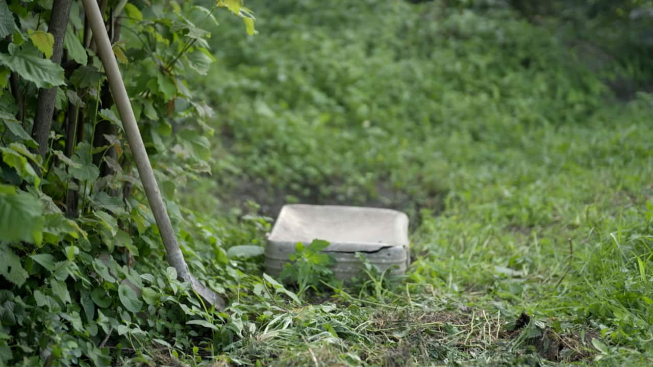 An old suitcase, covered in soil, lies on green grass in a garden with a shovel resting beside it.