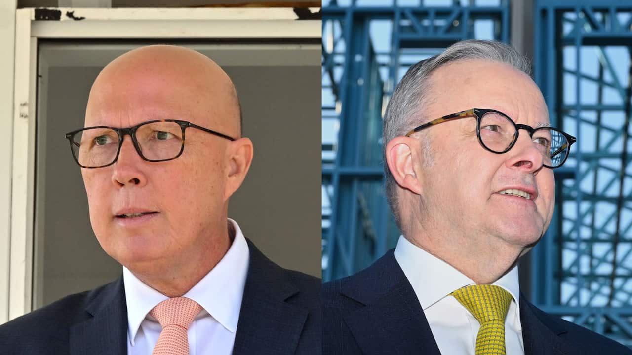 Dutton and Albanese