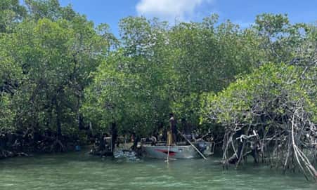 Locals photograph Papua New Guinea People illegally fishing at the back of Saibai