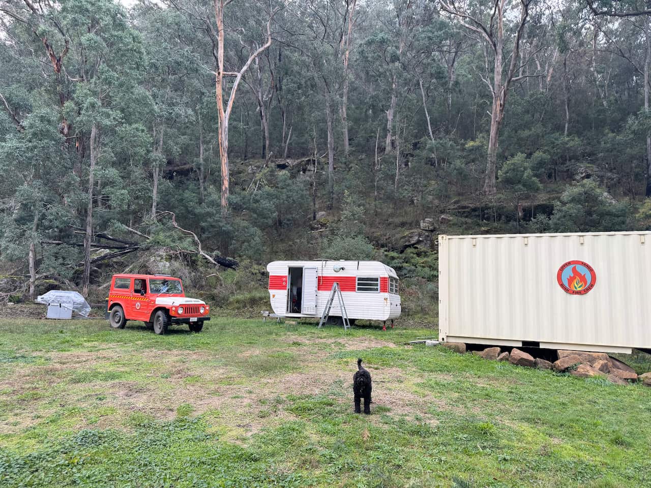 A black dog stands in a clearing in front of a red truck, caravan and shipping container.