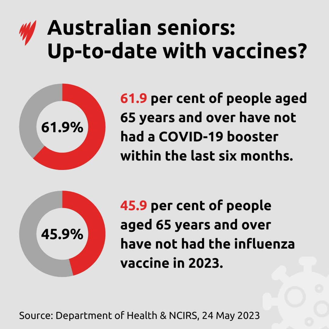 Infographic showing percentage of Australians over 65 who are up to date with influenza and COVID-19 vaccines.