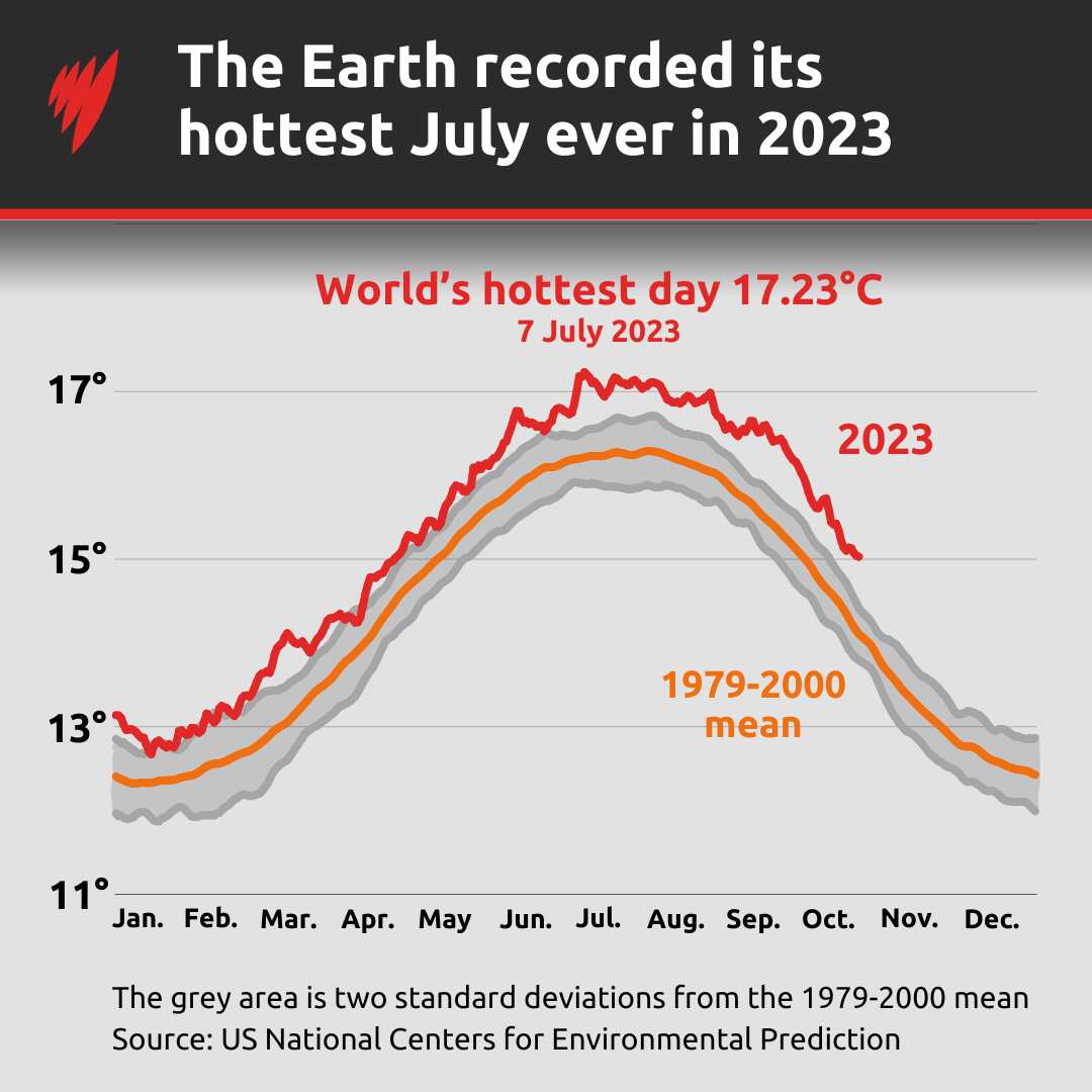 A chart showing the world's hottest day, and how it compared to other days in that year and the multi-decade mean.