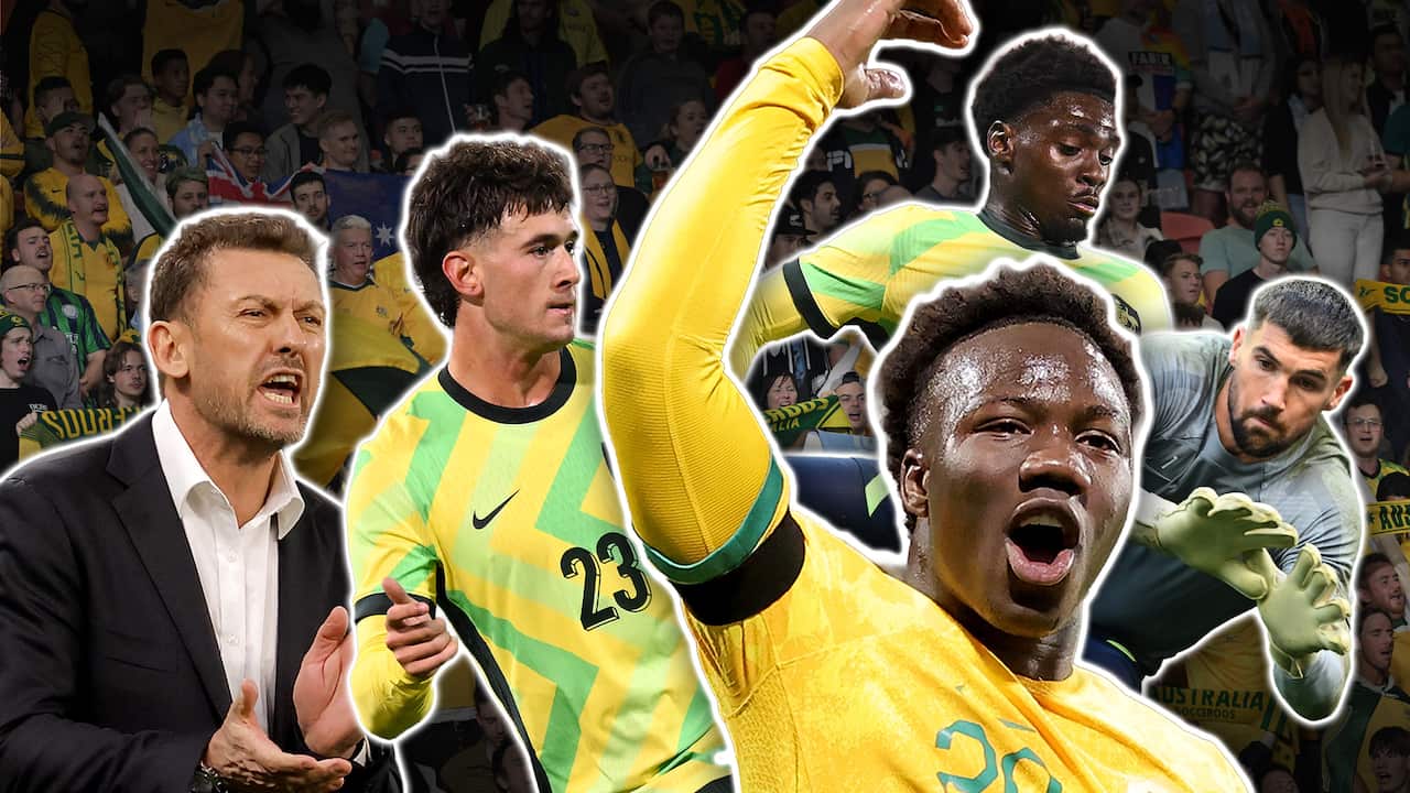 WORLD CUP GRAPHIC