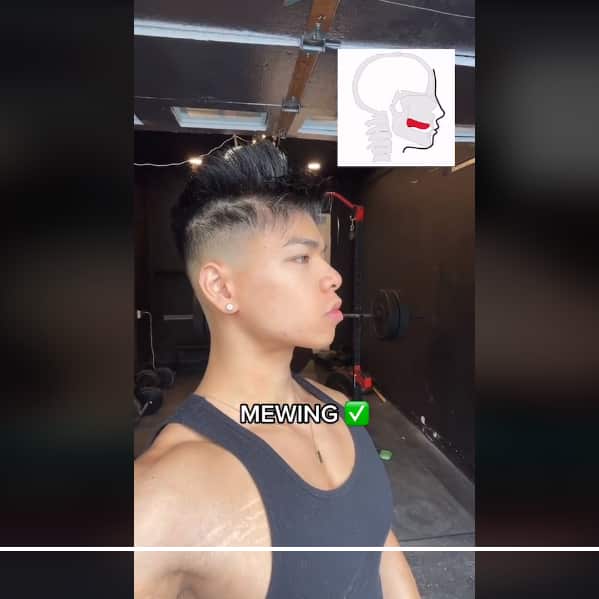 looksmaxxing tiktok02.png