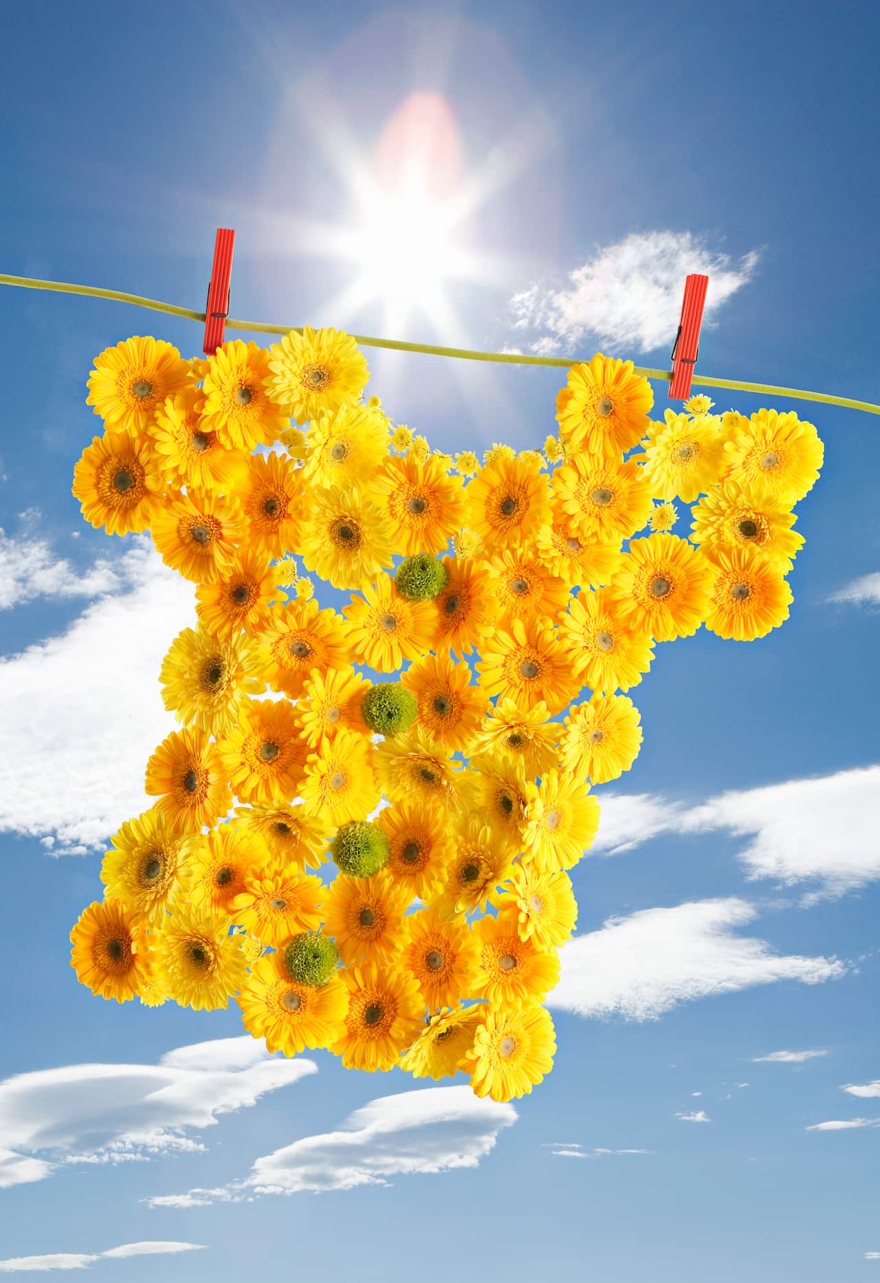 A shirt made out of flowers on a line