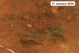 A GIF transitioning between two satellite images of the same spot of the Red Centre in January 2026, showing a red landscape, and another taken in March 2026, showing a visibly green landscape.