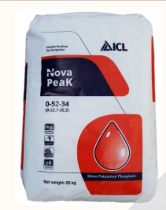 WeChat Image_20230325063806.jpg