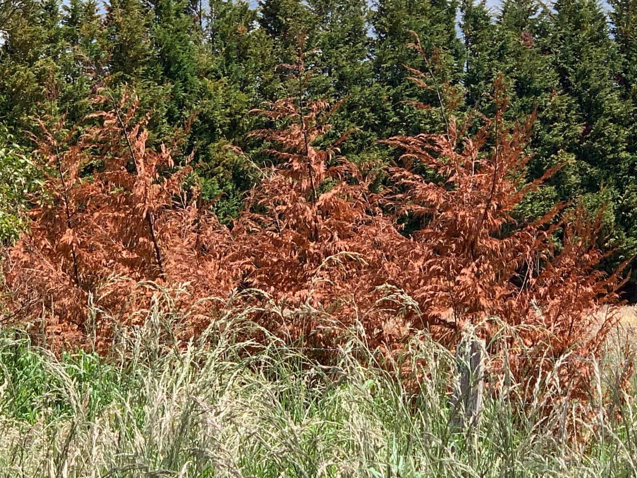 WhatsApp Image 2022-11-29 at 20.36.09.jpeg