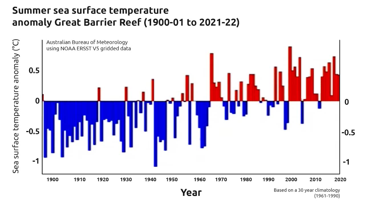 Graph of summer sea surface temperature anomaly on the Great Barrier Reef