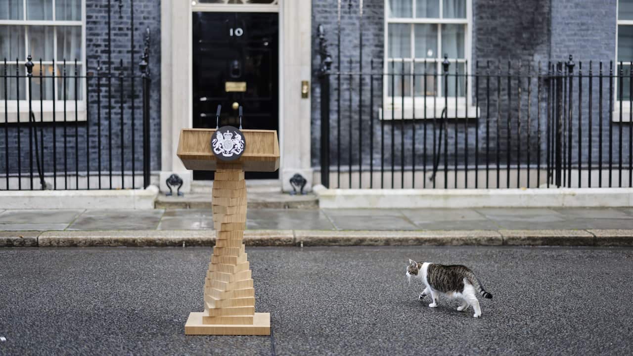 Larry the cat approaching a podium outside 10 Downing Street