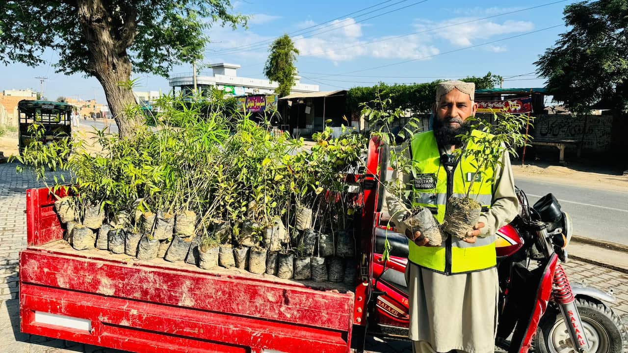 WhatsApp Image 2024-07-10 at 08.25.14.jpeg