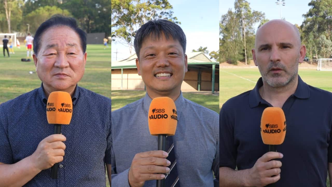 평창 시드니 유소년 축구대회 관계자.png