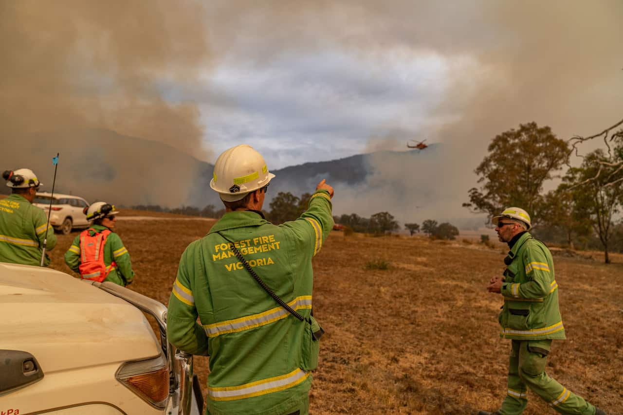 A forest fire management official wearing a light-green uniform points towards smoke rising from grassland beside several of his colleagues. 