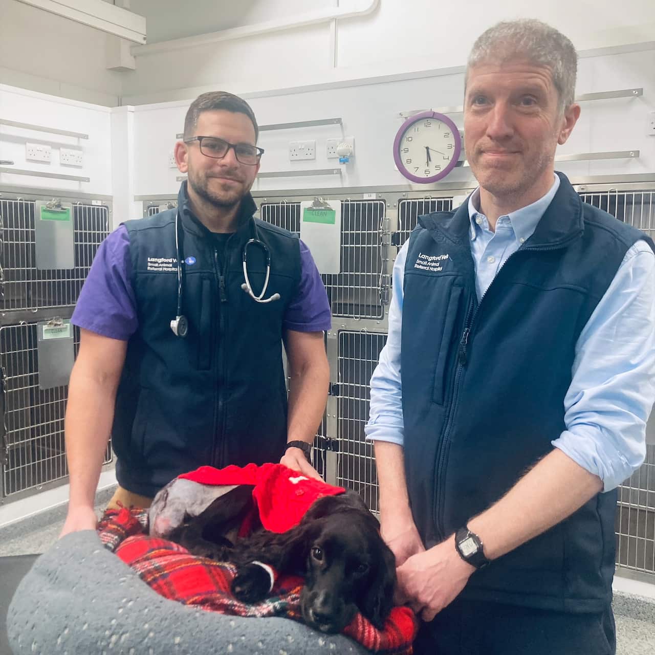 Two vets stand next to a dog that is lying on a blanket.