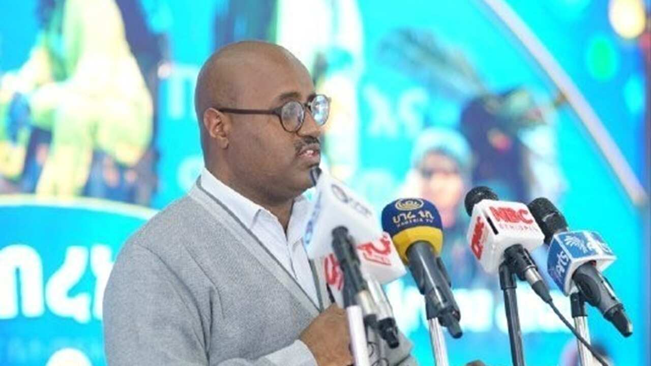 Metasebya Belayneh.png