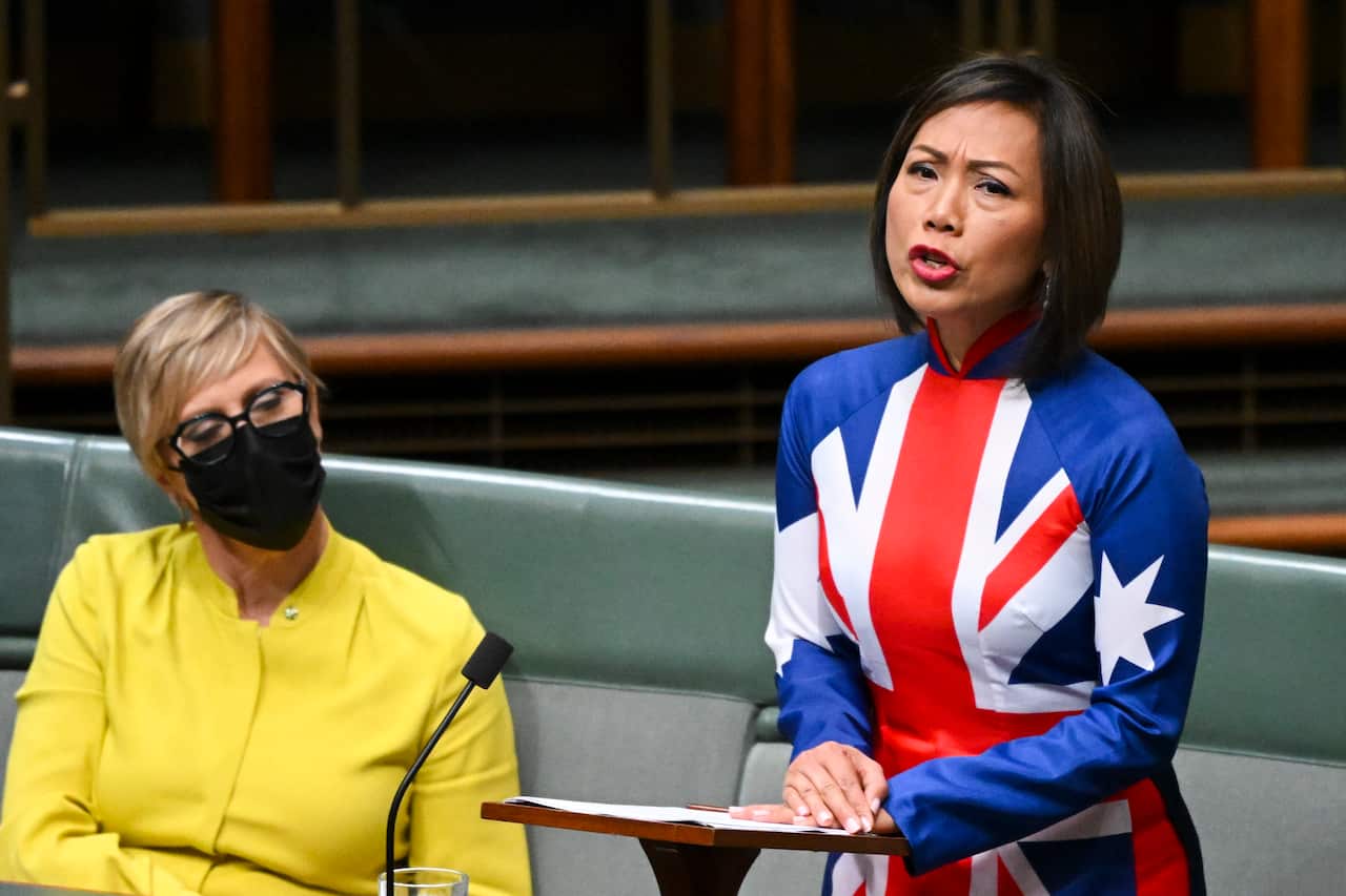 Dai Le, wearing a dress with an Australian flag design, speaks in Parliament