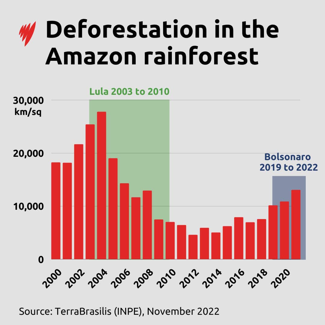 A bar chart showing rates of deforestation in the Amazon rainforest from 2000-2020.