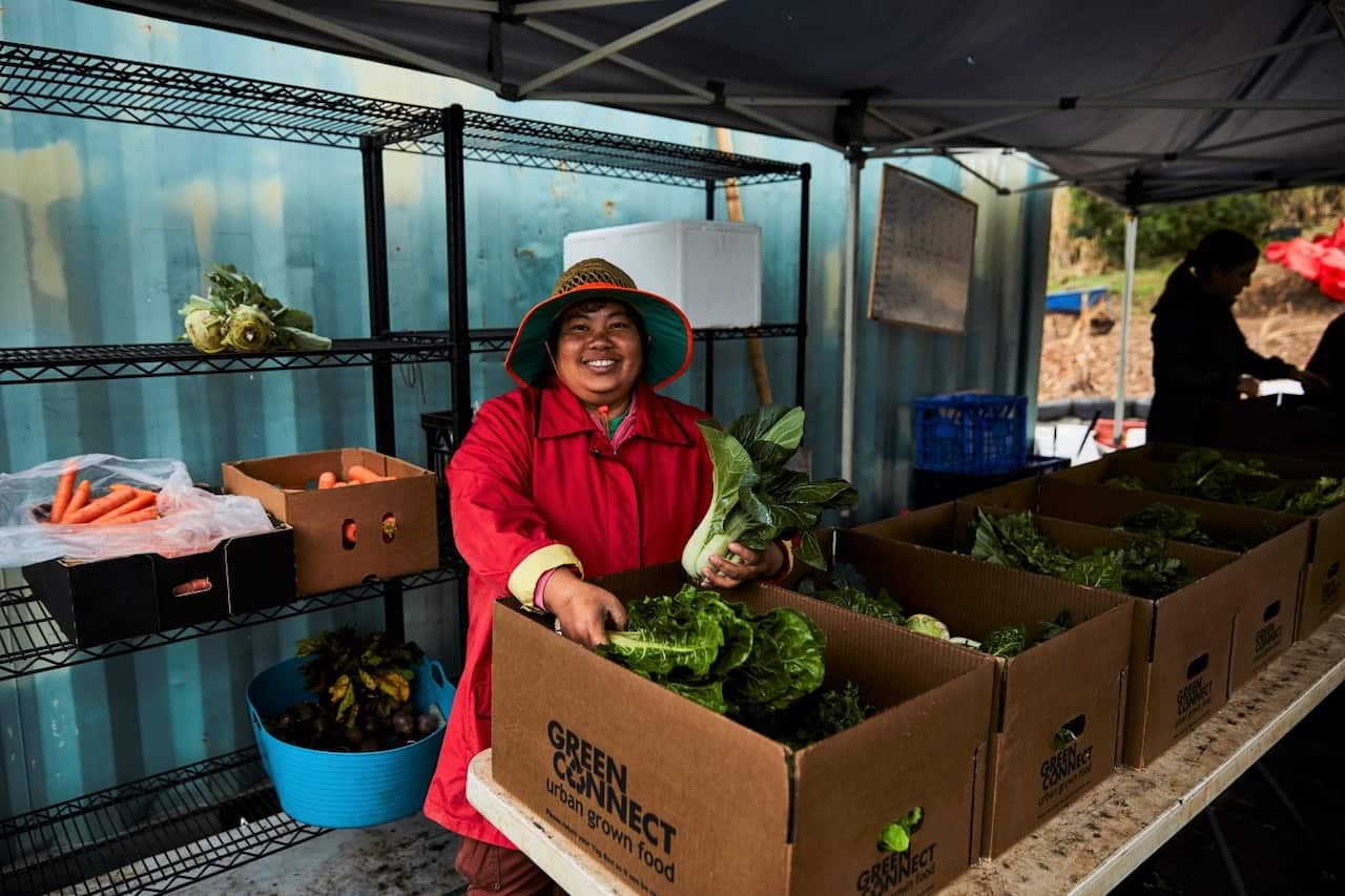 Su Meh, a farm worker, is seen packing vegetables into boxes on the Green Connect urban farm in Warrawong